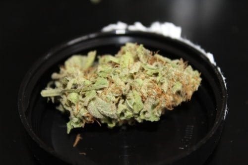 Have You Smoked Pineapple Express? | Strain Review | Respect My Region