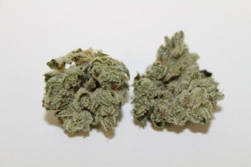 Gorilla Glue Weed Strain