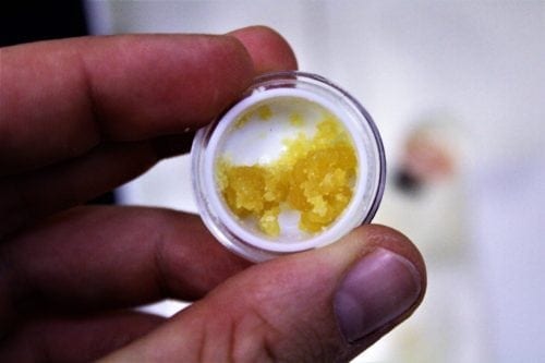 oleum extracts