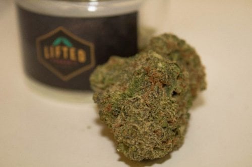 A Real Review of Lifted Cannabis 501st OG strain