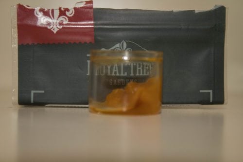 A Review of Royal Tree Gardens Black Cherry Soda Sugar Wax