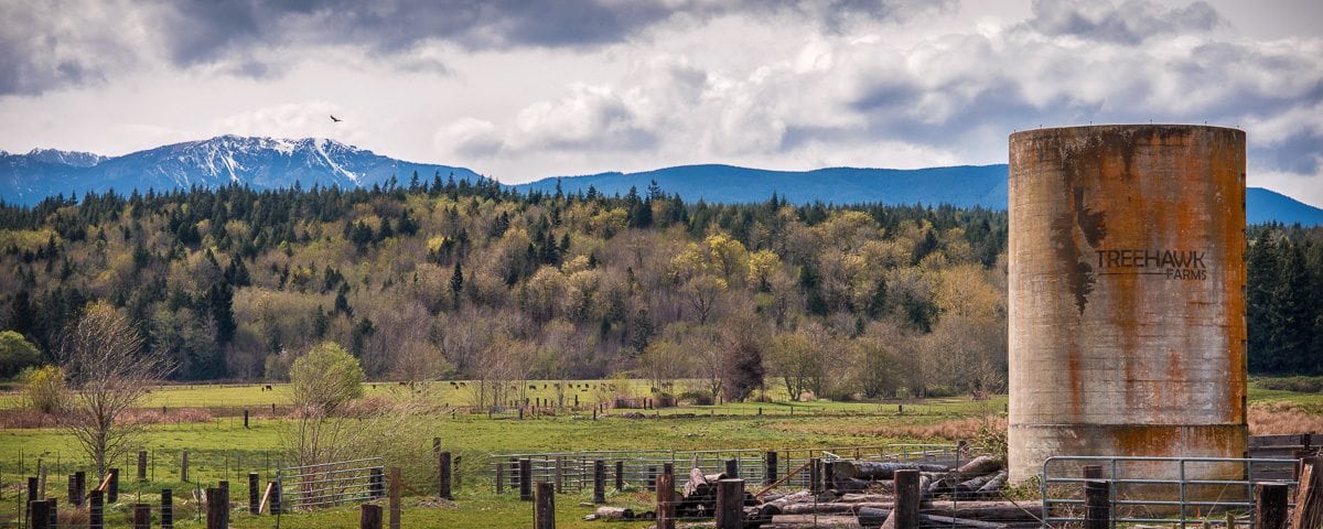 Treehawk Farms Grows Some Of The Best Pot in Washington