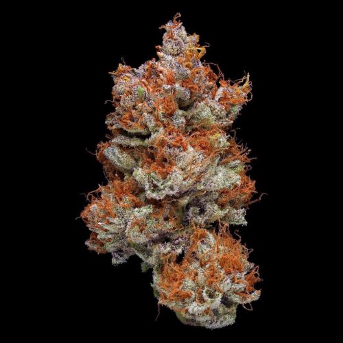 The Oregon Diesel Strain Is A Surprisingly Stoney Cross Featuring New York City Diesel and Blackberry Kush