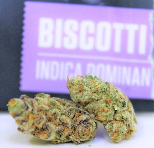 Biscotti strain