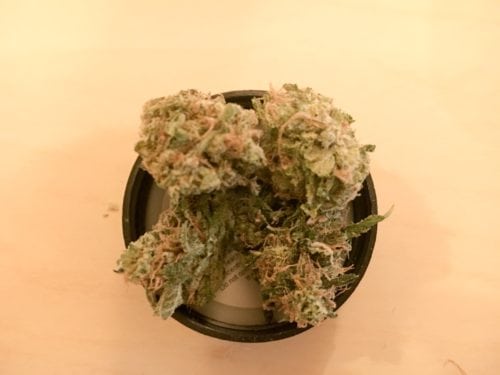 9 Pound Hammer from Hang Roots