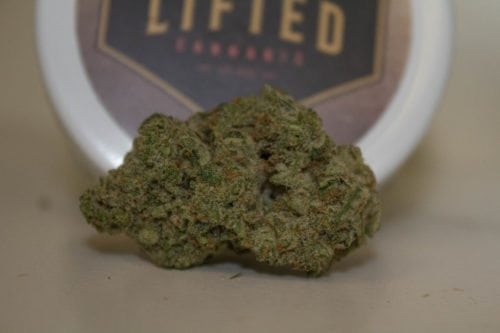 Why Is Lifted's Wedding Cake Strain So Sticky And Delicious?