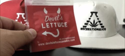 A Real Review of The Great White Shark Shatter From Devils Lettuce