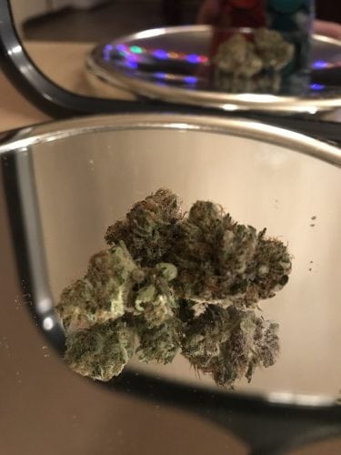 Blackberry Kush