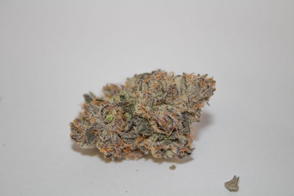 Sherbet