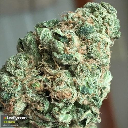 Savory and Sweet Kush Strains