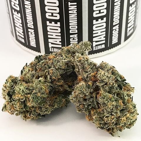 Read The Official Review Of White Tahoe Cookies From Royal Tree Gardens