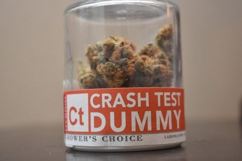 Reviewing The Crash Test Dummy Strain From Fifty Fold