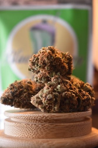 Black Cherry Soda - NW Connoisseurs Strain Review