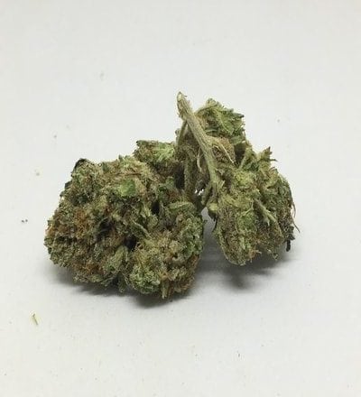 Stardawg