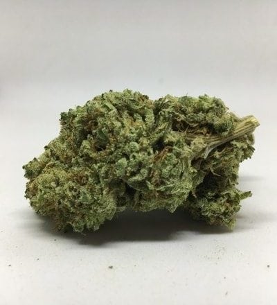 Skunk #1