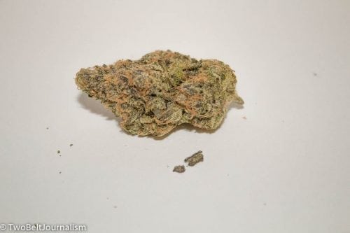 Is Exotikz OZ Kush Strain Worth Your Money?