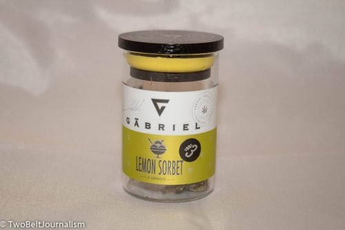 The Gabriel Cannabis Lemon Sorbet Pheno Hunt Winner