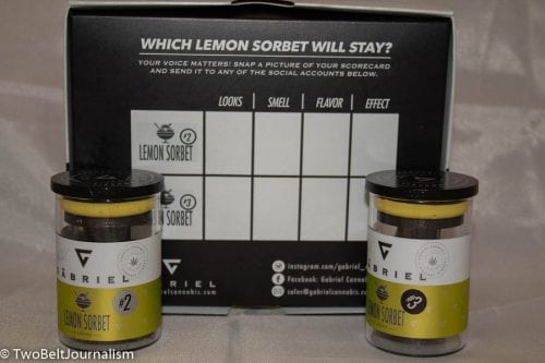 The Gabriel Cannabis Lemon Sorbet Pheno Hunt Winner