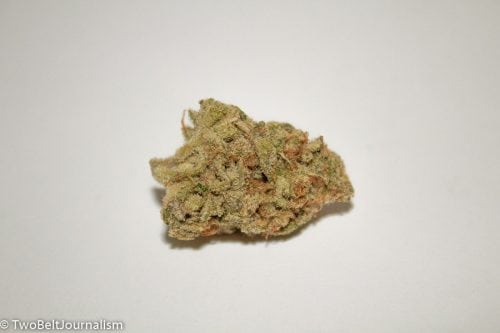 Limesicle Strain Review (Prod. Coastal Cannabis)