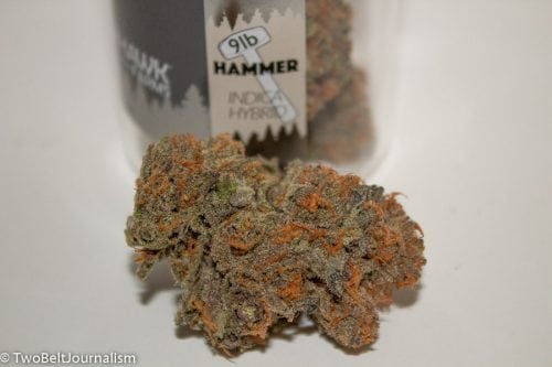 TreeHawk Farms - 9LB Hammer Strain Review