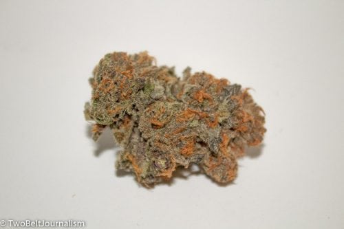 TreeHawk Farms - 9LB Hammer Strain Review