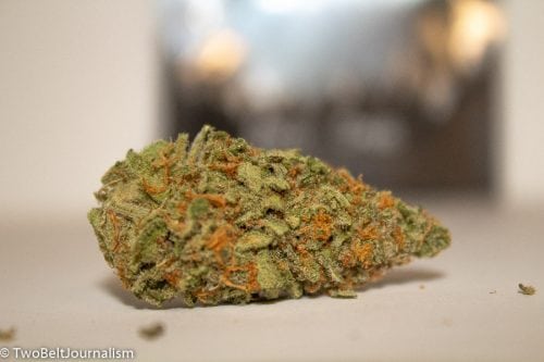 TreeHawk Farms - Candy Apple Strain Review