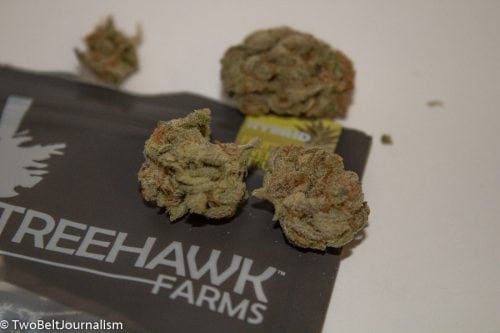 TreeHawk Farms - Northwest Pineapple Strain Review