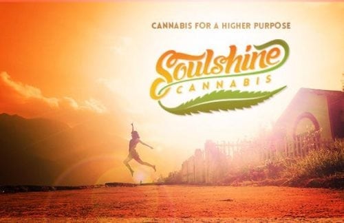 Soulshine Cannabis Strains Are Grown In A Conscious Way