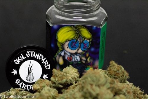 Sky Standard Gardens Cannabis Review (Feat. Catholic School Girl Strain)