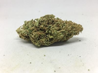 Panamango Panamango Cannabis Review (Prod. Coastal Cannabis)