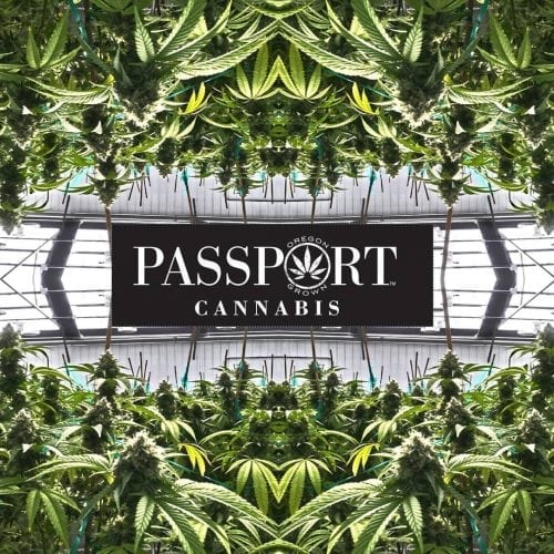 9/7: Passport Cannabis Hosts RMR's West Coast Weed Tour At Vitalidad