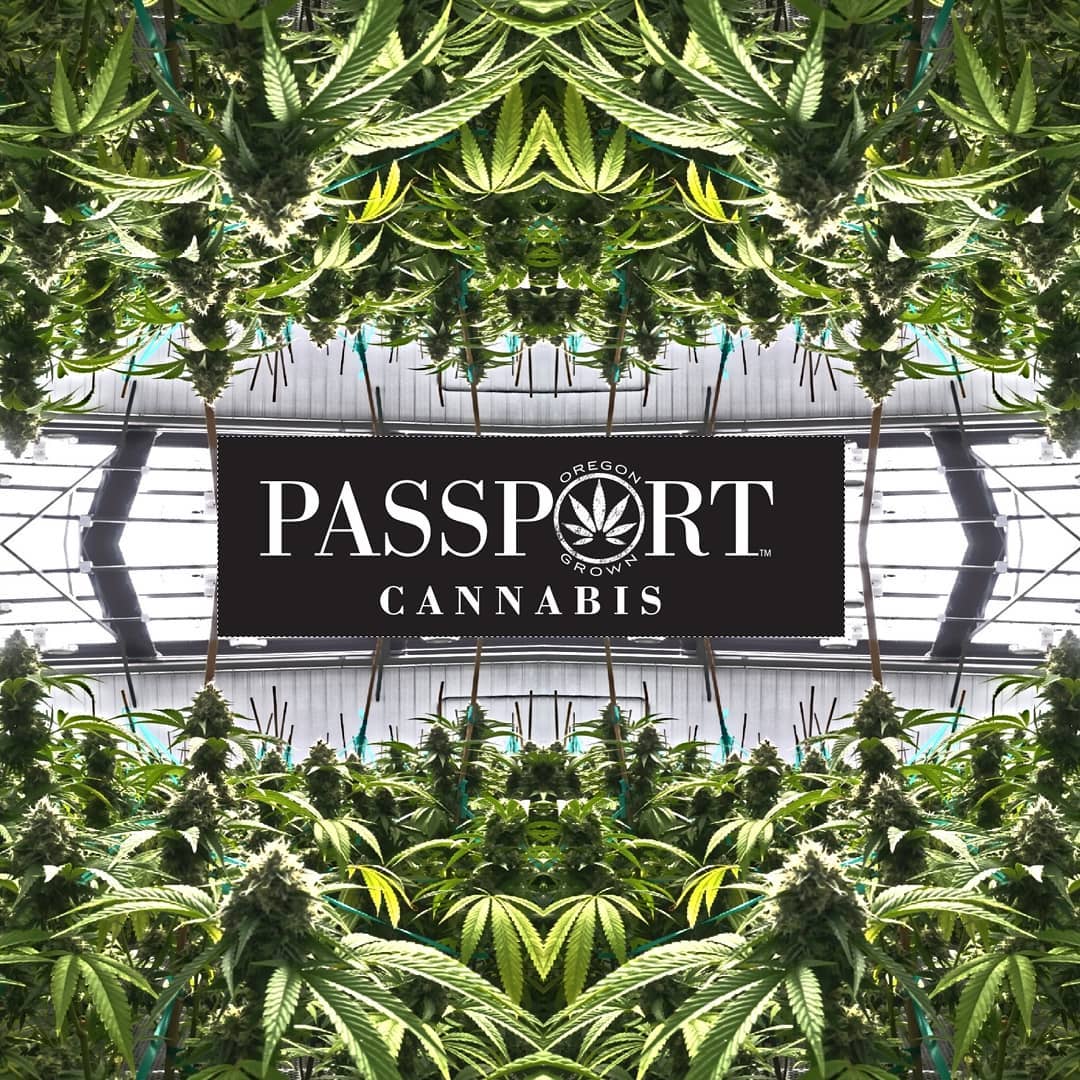 9/7: Passport Cannabis Hosts RMR's West Coast Weed Tour At Vitalidad