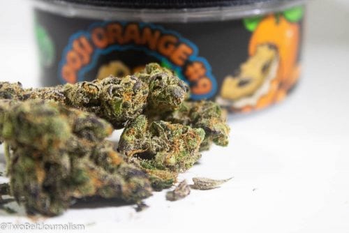 Dosi-Orange 9 Cannabis Review (Prod. Greenline Organics)