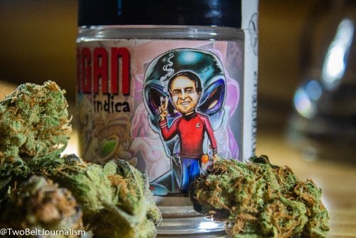 Carl Sagan Cannabis Strain