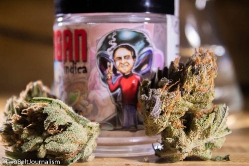 What Makes Mad Mark's Carl Sagan Cannabis Strain So Dank?