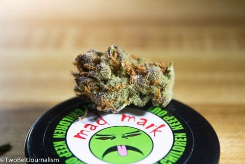 What Makes Mad Mark's Carl Sagan Cannabis Strain So Dank?