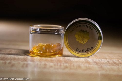 Bodhi High Do-Si-Dos Terp Crystals Concentrate Review