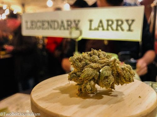 Freddy's Fuego Phenohunt At The Old Rainier Brewery Event Recap