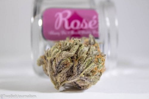 What Makes GLW's Rosé Cannabis Strain So Dank?