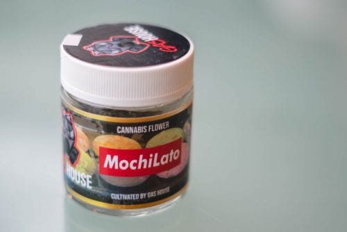 Mochilato