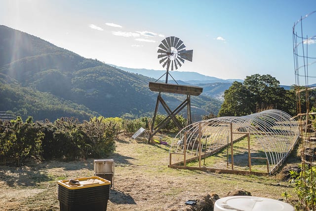 WildLand Farm Is One of Mendocino's Best Farms