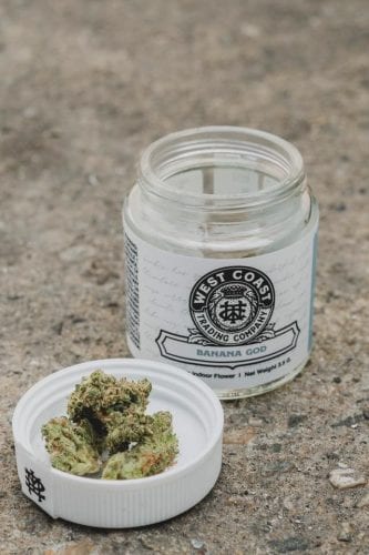 West Coast Trading Company Cannabis Review (Feat. Banana God Strain)