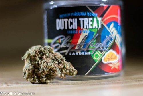 What Makes Sky High Gardens Dutch Treat Strain So Dank?