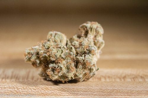 What Makes Skörd Marijuana's Sour Tangie Strain So Dank?