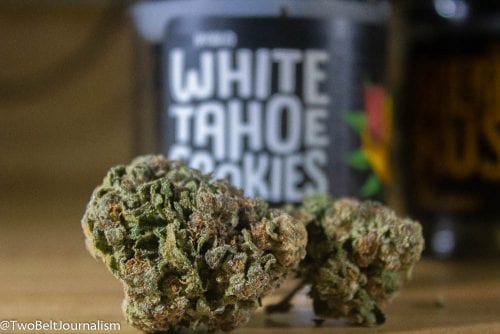 Funky Monkey's White Tahoe Cookies Strain Leaves Much To Be Desired