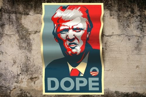 Midterm Election Results For Cannabis Initiatives Around The Country