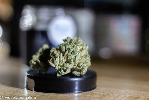 What Makes DNA Gardens Wedding Cake Strain So Dank?