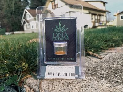 Orange Widow Live Resin Strain Review (Feat. DNA Gardens)