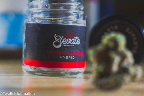 Elevate Cannabis Raises Expectations During West Coast Weed Tour