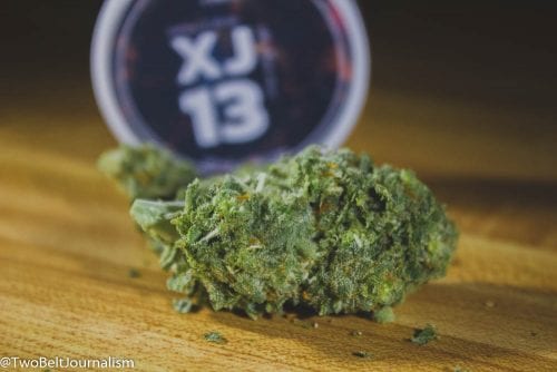 Space Weed's Flash Frozen Cured Buds Are The Easiest To Roll Up